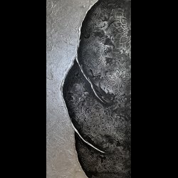 Dark Aesthetic 020025