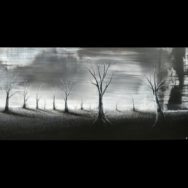 The illusion