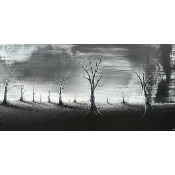 illusion